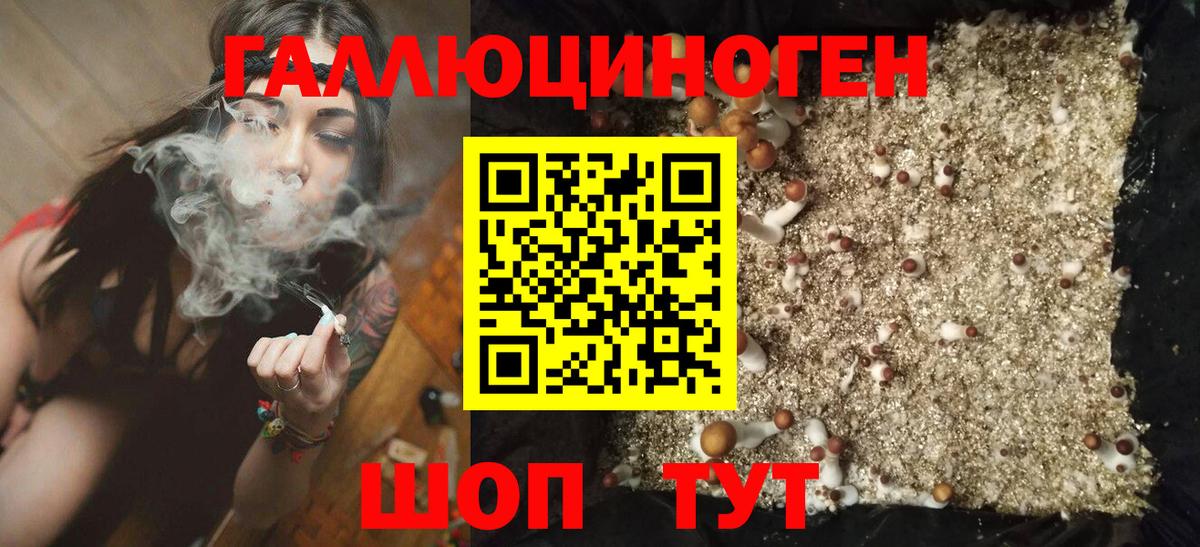 Галлюциногенные грибы MAGIC MUSHROOMS Туапсе